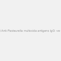 Rabbit Anti-Pasteurella multocida antigens IgG -ve serum